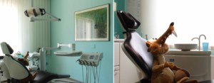 Sprechzimmer 2 der Praxis - Zahnarztpraxis im Zerbster Zentrum - Zahnarzt Dr. med. Bernd Lux